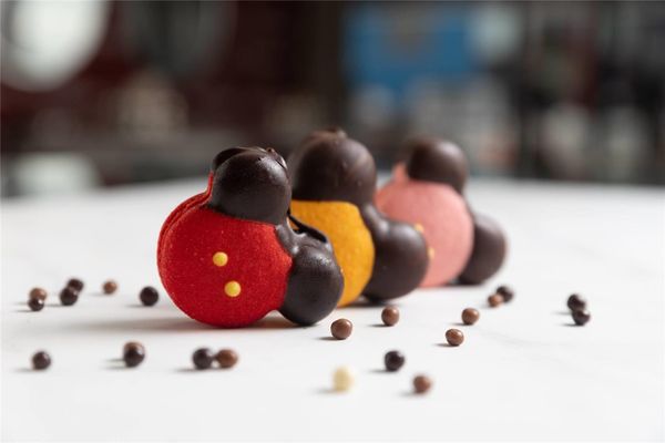 Magic Moment Resort & Kids Club , Dazzler Select by Wyndham by null