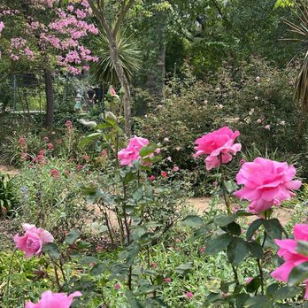Descanso Gardens - Botanical Gardens Near Me - La Canada Flintridge, California Descanso Gardens - Botanical Gardens Near Me - La Canada Flintridge, California