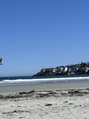 Nahant Beach by null