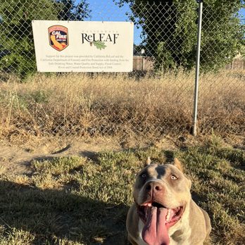 Off the leash Dog Park - Dog Parks Near Me - Yuba City, California Off the leash Dog Park - Dog Parks Near Me - Yuba City, California