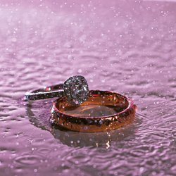 Mark Anthony Photography - Wedding rings!