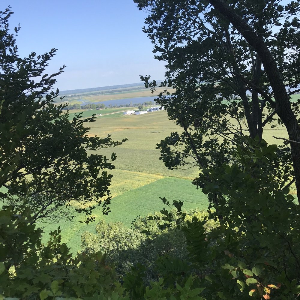 Salt Lick Trail - Hiking Near Me - Valmeyer, Illinois Salt Lick Trail - Hiking Near Me - Valmeyer, Illinois
