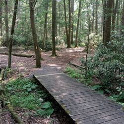 Caledonia State Park