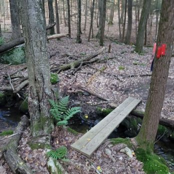 Noel Baker Trail - Mini bridge - Hiking Near Me - Canton, Connecticut