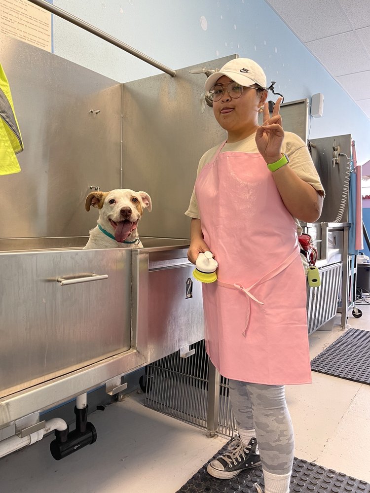 DOG LOVERS GROOMING & SELFSERVE DOG WASH Updated September 2024 21