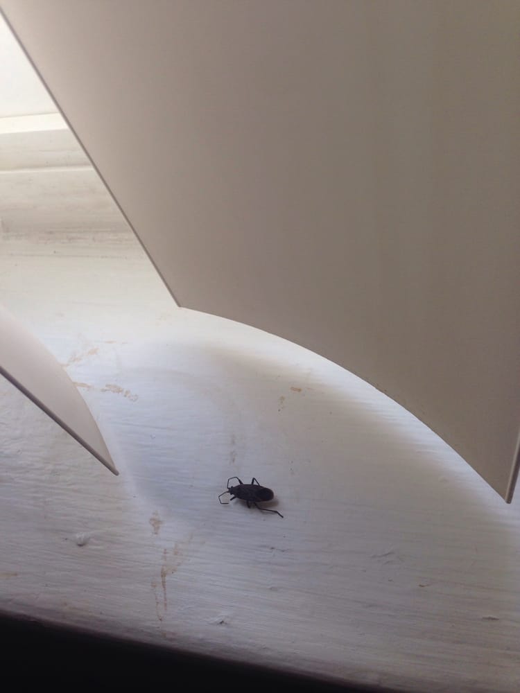 GARDEN PLAZA APARTMENTS Updated August 2024 2251 Watt Ave