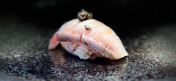 Hidden Fish by null
