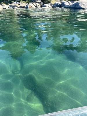 Wild Society Kayaking Rentals by null