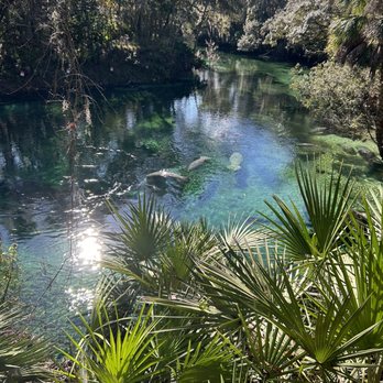 Blue Spring State Park - Parks Near Me - Orange City, Florida Blue Spring State Park - Parks Near Me - Orange City, Florida