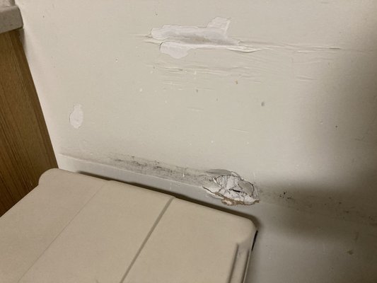 Banner Thunderbird Medical Center by null