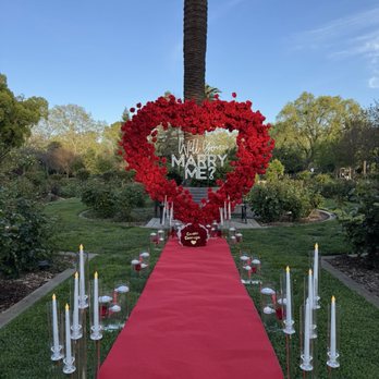 Royal Elegance - Proposal - Party & Event Planning Near Me - Sacramento, California Royal Elegance - Proposal - Party & Event Planning Near Me - Sacramento, California