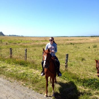 Crescent Trail Rides - Horseback Riding Near Me Crescent Trail Rides - Horseback Riding Near Me