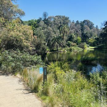 Royal Botanical Gardens Victoria - Long Island - Botanical Gardens Near Me - Melbourne, VIC Royal Botanical Gardens Victoria - Long Island - Botanical Gardens Near Me - Melbourne, VIC