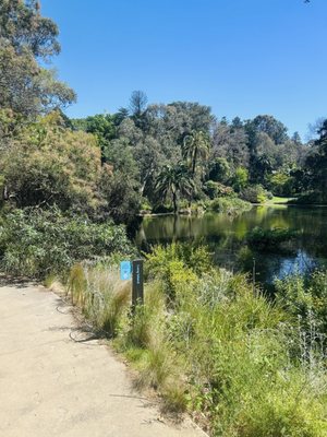 Royal Botanic Gardens Victoria - Melbourne Gardens by null