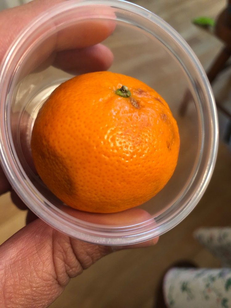 CHIPOTLE MEXICAN GRILL Updated September 2024 35 Photos & 82