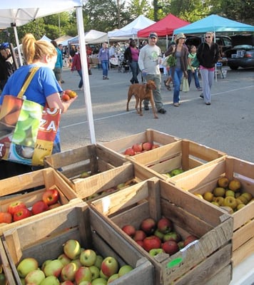 Broad Ripple Farmers Market by null