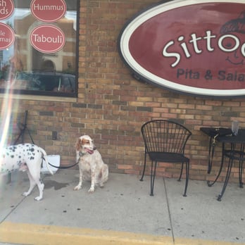 Sittoo's - Nice place to have lunch with your dogs - Salad Near Me - Parma, Ohio Sittoo's - Nice place to have lunch with your dogs - Salad Near Me - Parma, Ohio