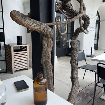 Milligram  - Sitting outside by the twisted tree! - Cafes Near Me - Costa Mesa, California
