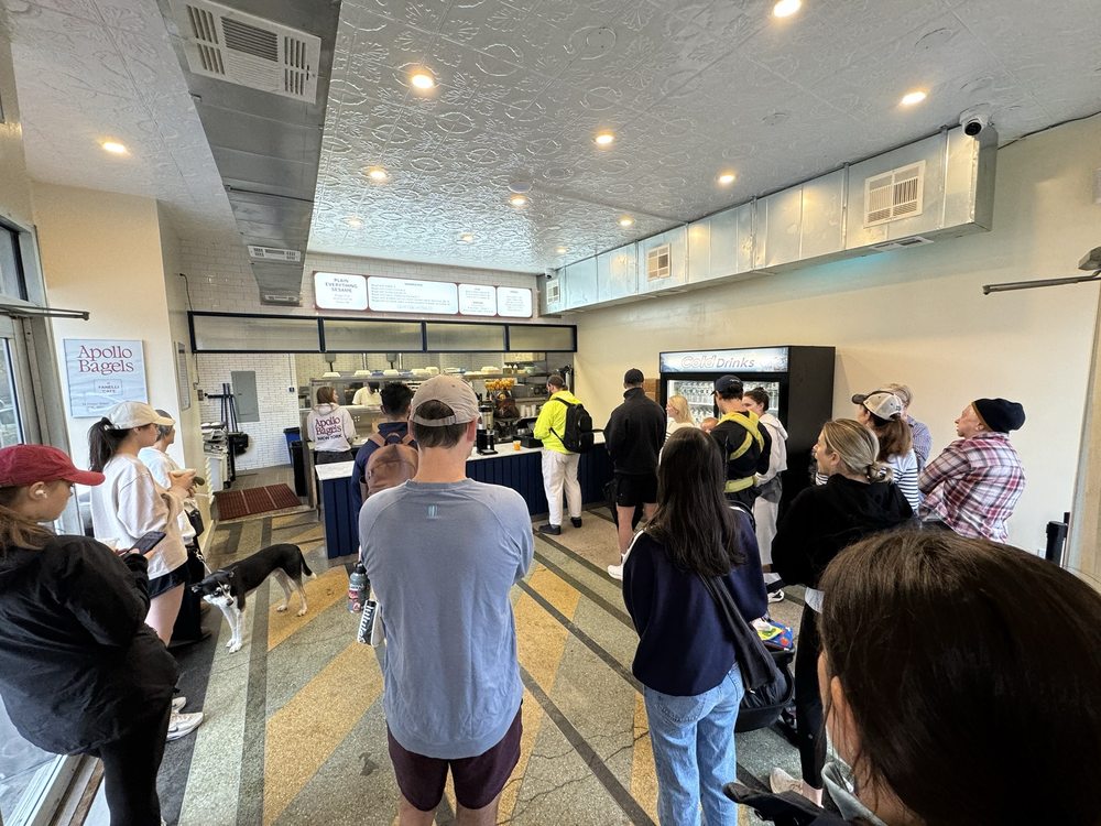 APOLLO BAGELS Updated October 2024 48 Photos & 18 Reviews 73