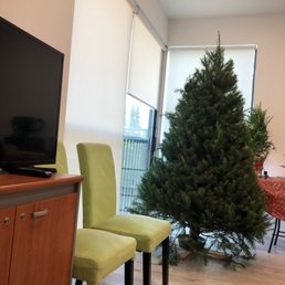 The tree  after we got home.