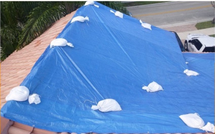 Slide of 305 Roof Tarps