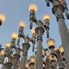 Urban Light at LACMA gift card