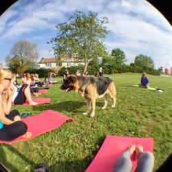 Latas Surf House & Surf School - Yoga
