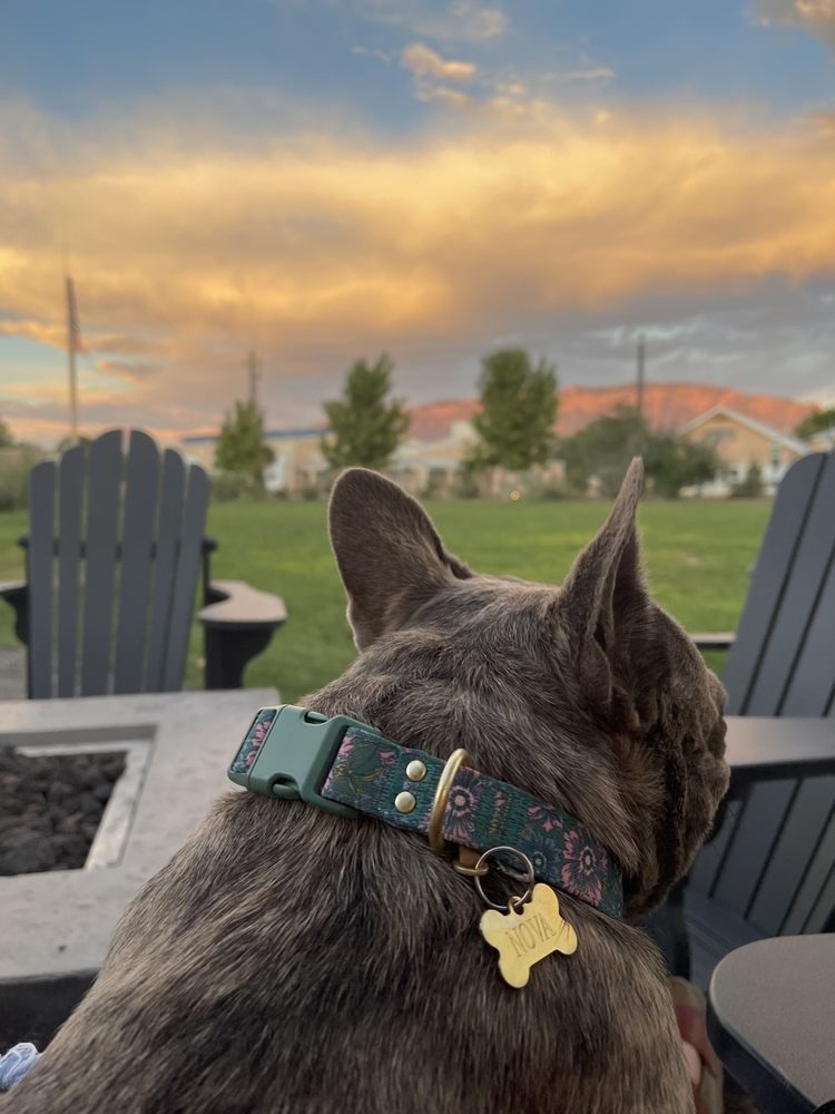 Ex Novo Brewing Company