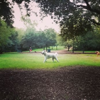 Red Bud Dog Park - Front meadow of the park - Dog Parks Near Me - Austin, Texas Red Bud Dog Park - Front meadow of the park - Dog Parks Near Me - Austin, Texas