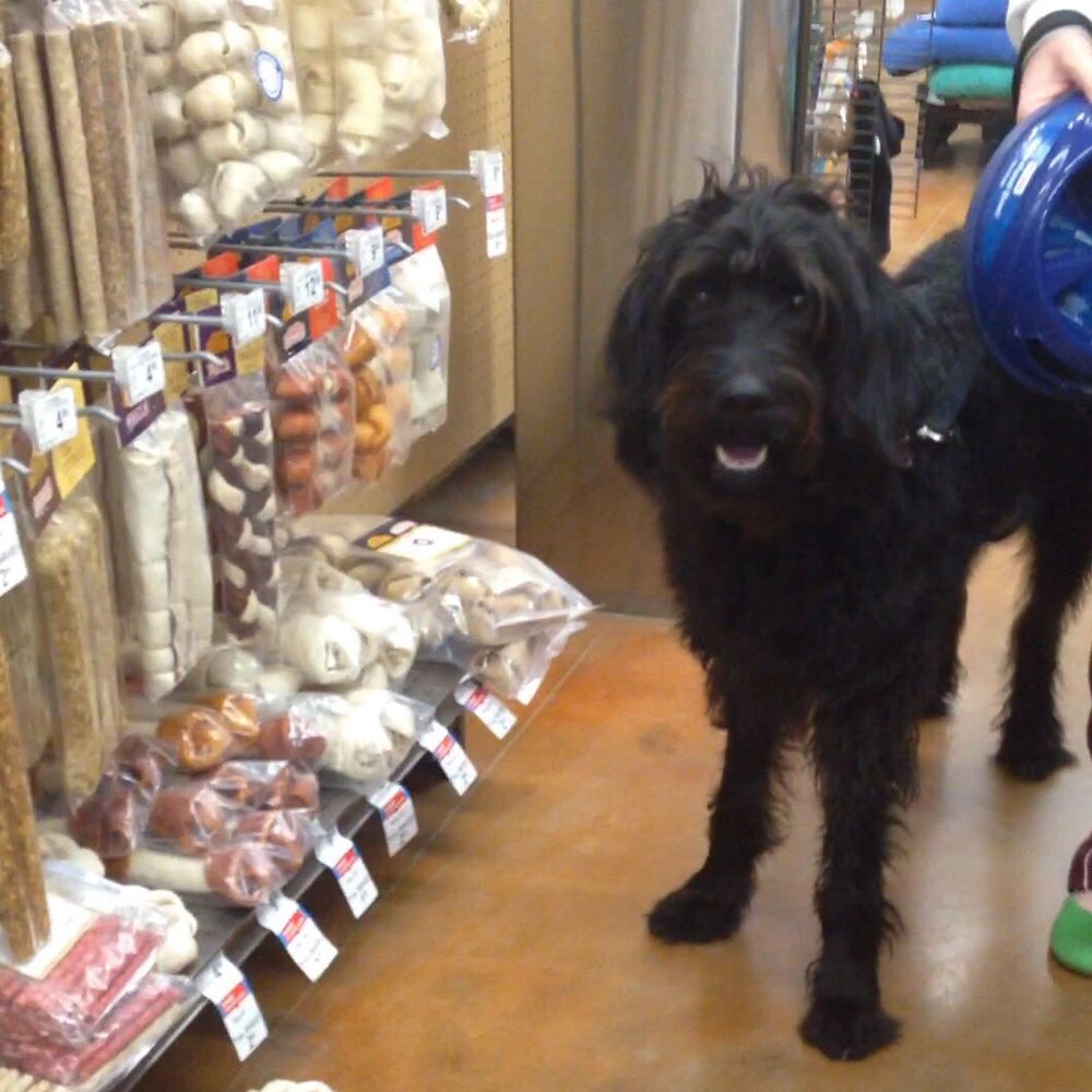 Pet Supplies Plus Stow - Pet Stores Near Me - Stow, Ohio Pet Supplies Plus Stow - Pet Stores Near Me - Stow, Ohio