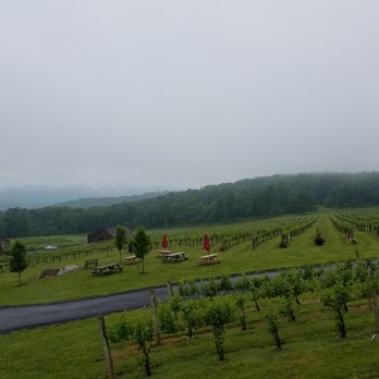 Fox Meadow Winery - Wineries Near Me - Linden, Virginia