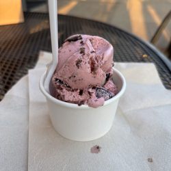Milk & Sugar Scoop Shoppe - Cherry ice cream in kiddie cup