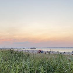 Strand Surendorf