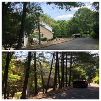 Gale Contracting - 13 pine tree removal, before and after picture - Tree Services Near Me Gale Contracting - 13 pine tree removal, before and after picture - Tree Services Near Me