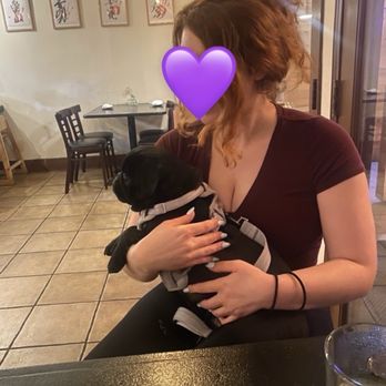 Murakami - Murakami's celebrity pug - Japanese Near Me - Los Angeles, California