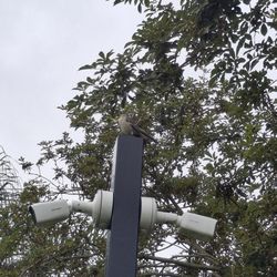 Eagle Park