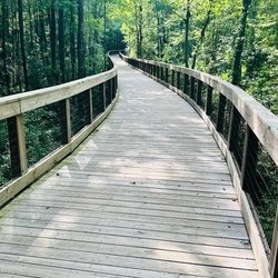 The Walk at Sandy Run