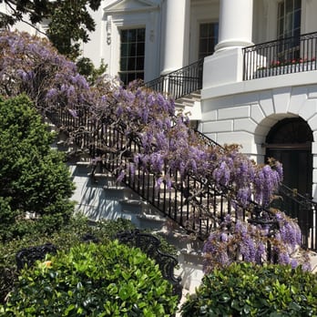 The White House - Beautiful - Landmarks & Historical Buildings Near Me - Washington, DC, District of Columbia