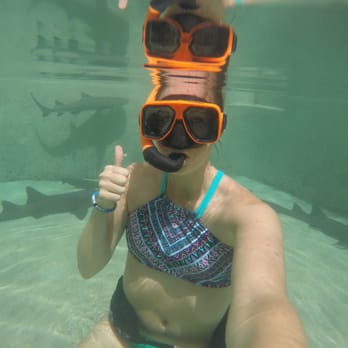 Coral World Ocean Park - Shark encounter - Aquariums Near Me - St Thomas, Virgin Islands Coral World Ocean Park - Shark encounter - Aquariums Near Me - St Thomas, Virgin Islands