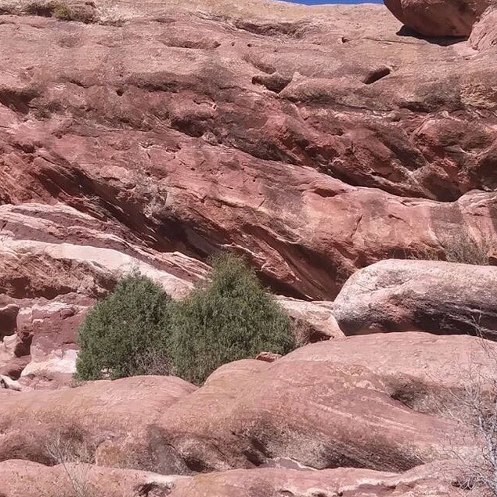 Red Rocks Park - Red. Rocks. - Parks Near Me - Morrison, Colorado Red Rocks Park - Red. Rocks. - Parks Near Me - Morrison, Colorado
