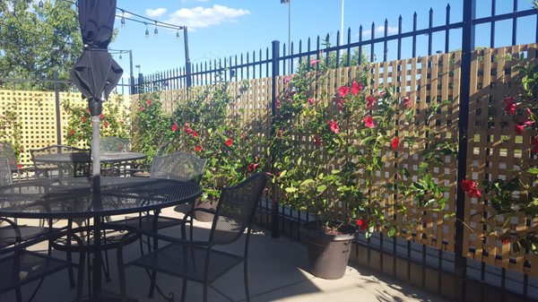 Tazza Italian Ristorante by null