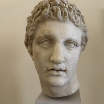Museo Correr - Museums Near Me - Venezia, VE