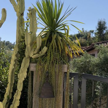 Keller Williams Calabasas - Desert beauty. - Real Estate Services Near Me - Calabasas, California Keller Williams Calabasas - Desert beauty. - Real Estate Services Near Me - Calabasas, California