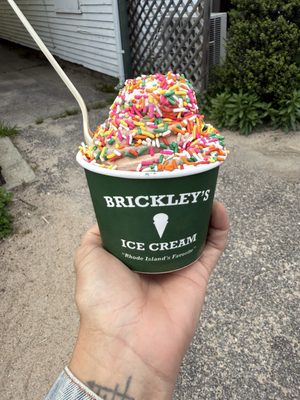 Brickley's Ice Cream by null