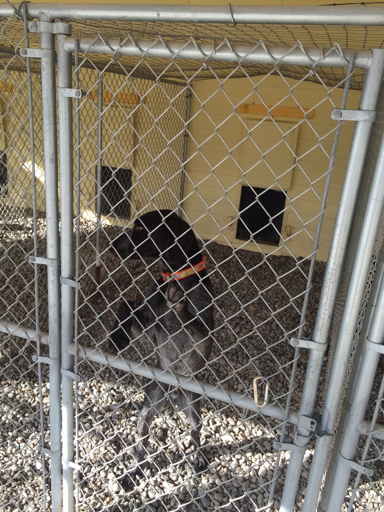 LOST CREEK KENNELS Updated September 2024 10 Reviews 1575 Trumble