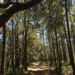 Woods Ferry