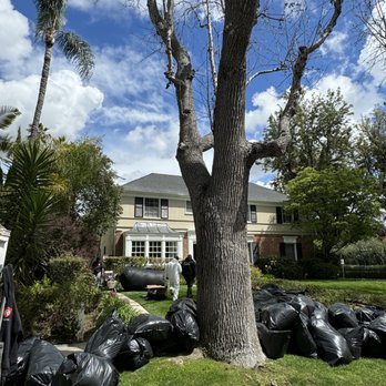 Rodent Control - RODENT CONTROL TEAM - Pest Control Near Me - Irvine, California Rodent Control - RODENT CONTROL TEAM - Pest Control Near Me - Irvine, California