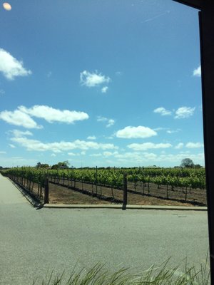 Olive Farm Wines by null