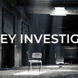 Grey Investigators