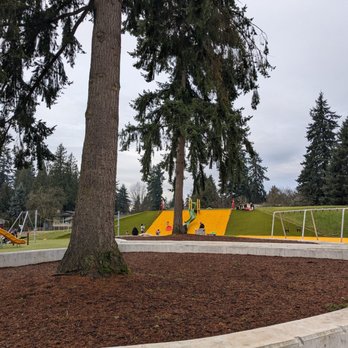 132nd Square Park - New slide on the cardboard sledding hill - Parks Near Me - Kirkland, Washington 132nd Square Park - New slide on the cardboard sledding hill - Parks Near Me - Kirkland, Washington